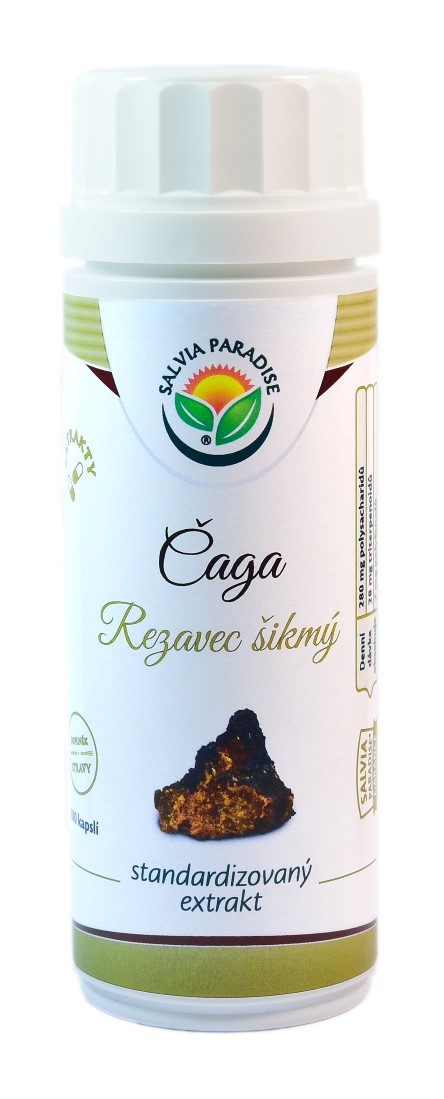 Salvia Paradise Čaga - chaga rezavec šikmý extrakt 100 kapsúl
