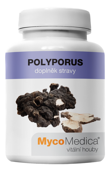 MycoMedica Polyporus 90 kapsúl