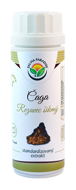 Salvia Paradise Čaga - Rezavec šikmý štandardizovaný extrakt 100 kapslí