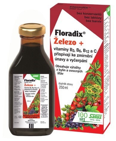 Salus Floradix železo   vitamíny B2, B6, B12 a C 250 ml