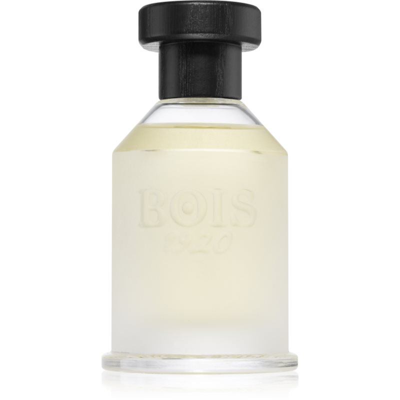 Bois 1920 Classic 1920 parfumovaná voda unisex 100 ml