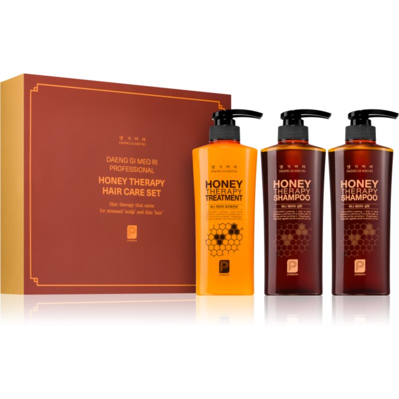 DAENG GI MEO RI Honey Therapy Professional Hair Care Set darčeková sada (pre výživu a hydratáciu)