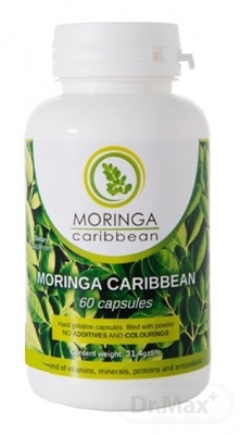 MORINGA Moringa Caribbean (standard)