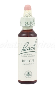 Beech - Buk lesný - bachove kvapky