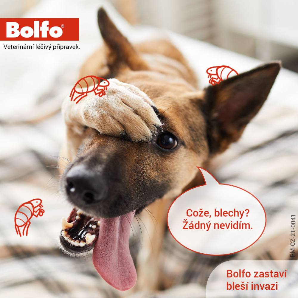 Obrázok BOLFO medikovaný obojok pre mačky a malé psy 38 cm 1,234 g 1 kus (4)