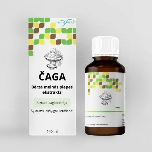 Befungin extrakt z čagy - 140ml - HealthNA